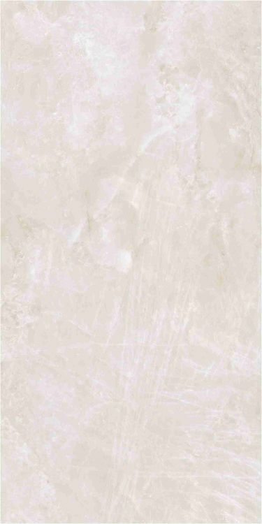 OL Taj Mahal Cream Polished 12 x 24